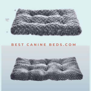 Amazon Basics Dog Bed