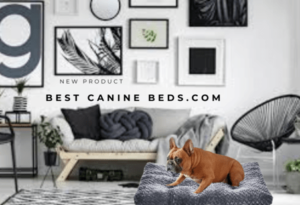 Amazon Basics Dog Bed, washable dog bed