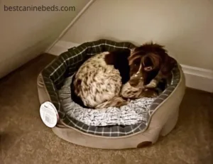 Petface oxford oval dog bed