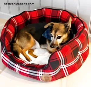 Petface oxford oval dog bed