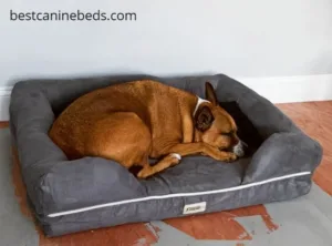 Friends Forever dog bed