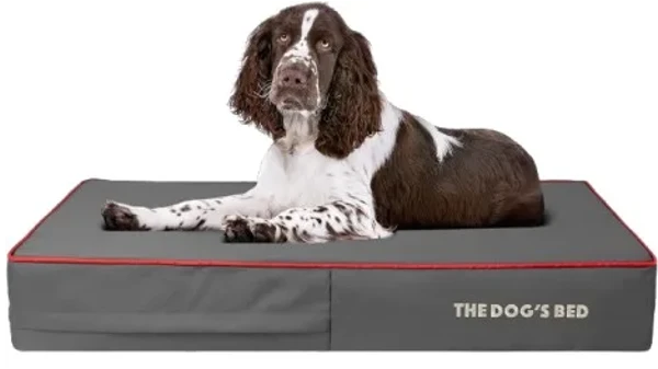 The Dog’s Bed Orthopedic Dog Bed
