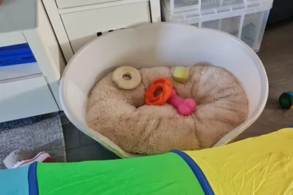 are plastic dog beds good