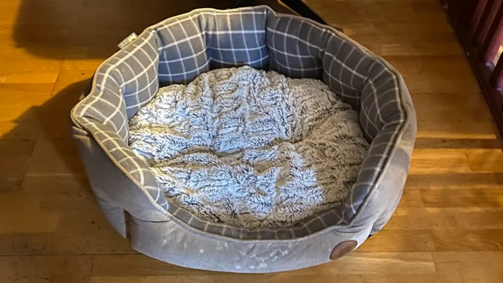 petface dog bed sizes