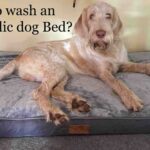 how do you clean orthopedic dog beds
